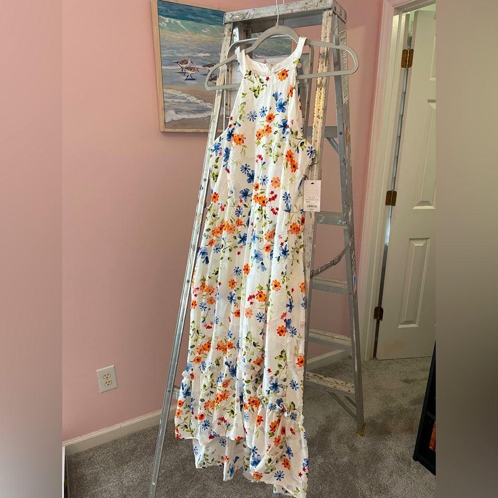 Elle sleeveless floral ruffle hi low dress